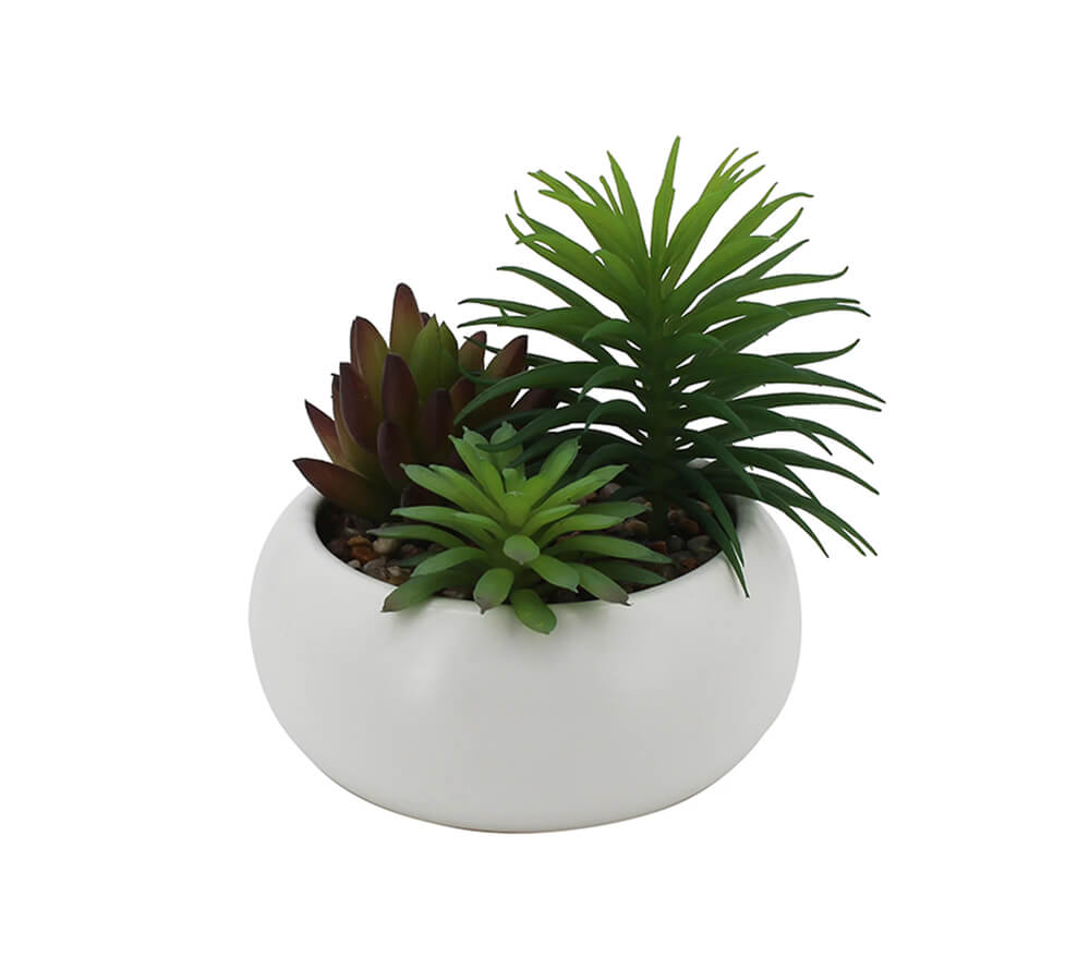 Artificial Succulent Arrangement